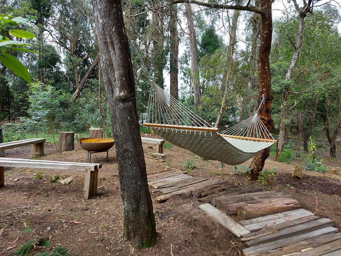 Saffronstays Dunnottar North By Kodai Lake- A 2-Bdr Villa Kodaikanal Εξωτερικό φωτογραφία